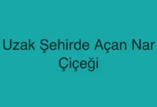 Uzak Şehirde Açan Nar Çiçeği