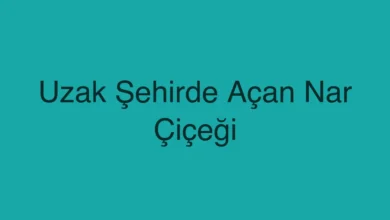 Uzak Şehirde Açan Nar Çiçeği