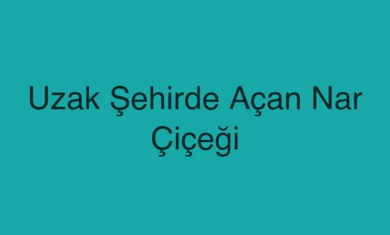 Uzak Şehirde Açan Nar Çiçeği