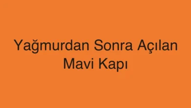 Yağmurdan Sonra Açılan Mavi Kapı