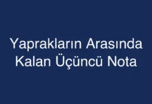 Yaprakların Arasında Kalan Üçüncü Nota