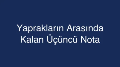 Yaprakların Arasında Kalan Üçüncü Nota