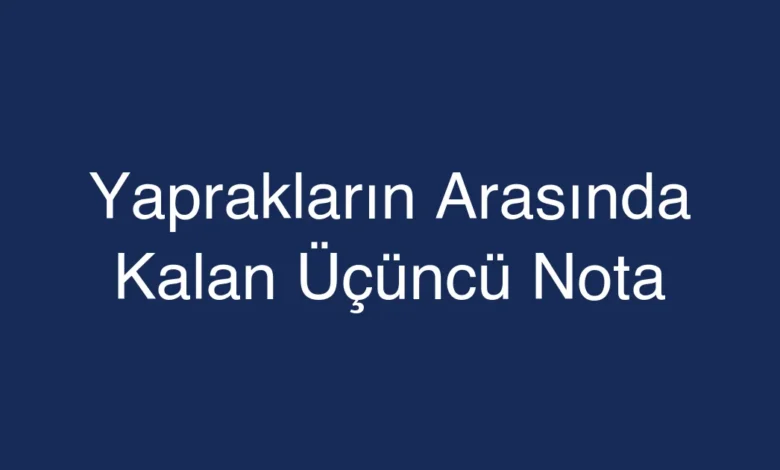Yaprakların Arasında Kalan Üçüncü Nota
