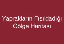 Yaprakların Fısıldadığı Gölge Haritası