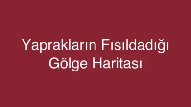 Yaprakların Fısıldadığı Gölge Haritası