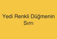 Yedi Renkli Düğmenin Sırrı