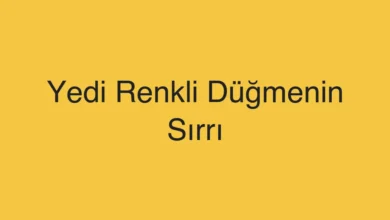Yedi Renkli Düğmenin Sırrı