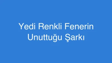 Yedi Renkli Fenerin Unuttuğu Şarkı