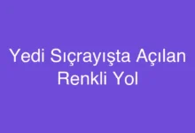 Yedi Sıçrayışta Açılan Renkli Yol