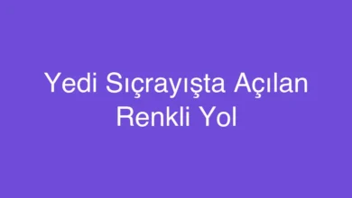 Yedi Sıçrayışta Açılan Renkli Yol