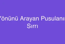 Yönünü Arayan Pusulanın Sırrı