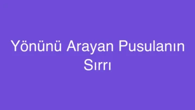 Yönünü Arayan Pusulanın Sırrı