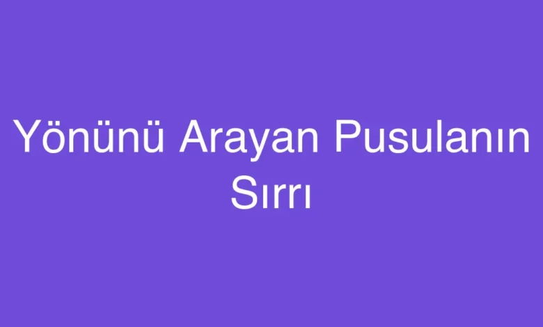 Yönünü Arayan Pusulanın Sırrı
