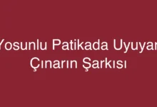 Yosunlu Patikada Uyuyan Çınarın Şarkısı