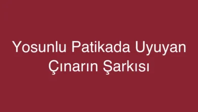 Yosunlu Patikada Uyuyan Çınarın Şarkısı