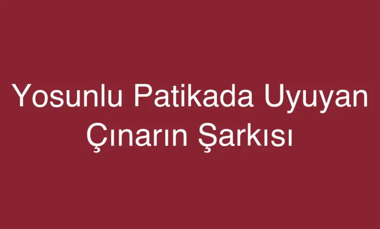 Yosunlu Patikada Uyuyan Çınarın Şarkısı