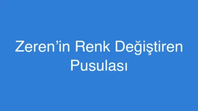 Zeren’in Renk Değiştiren Pusulası