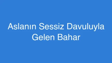 Aslanın Sessiz Davuluyla Gelen Bahar