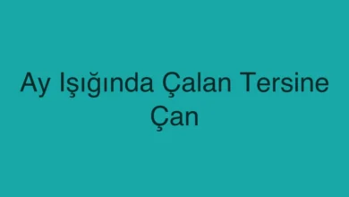 Ay Işığında Çalan Tersine Çan