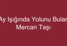 Ay Işığında Yolunu Bulan Mercan Taşı