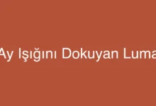Ay Işığını Dokuyan Luma