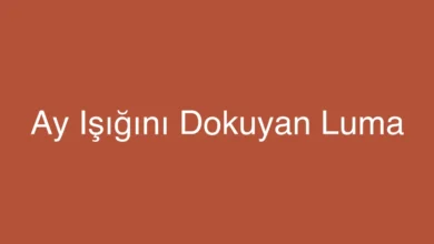 Ay Işığını Dokuyan Luma