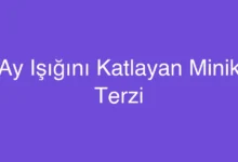 Ay Işığını Katlayan Minik Terzi