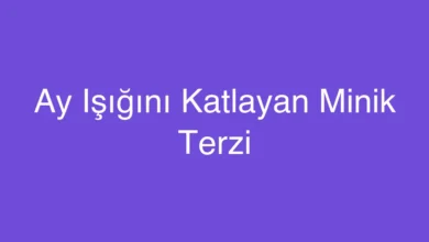 Ay Işığını Katlayan Minik Terzi