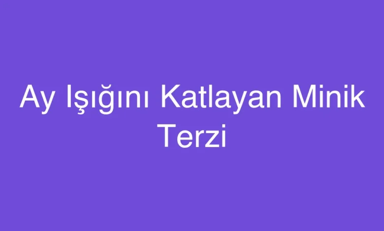 Ay Işığını Katlayan Minik Terzi
