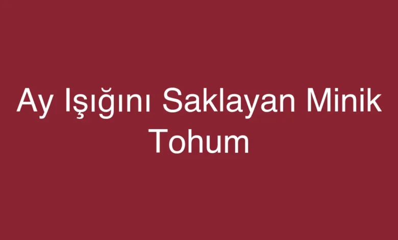 Ay Işığını Saklayan Minik Tohum
