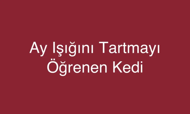 Ay Işığını Tartmayı Öğrenen Kedi