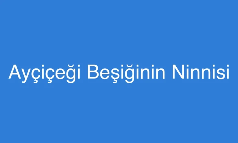 Ayçiçeği Beşiğinin Ninnisi
