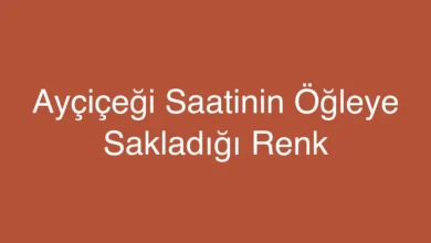 Ayçiçeği Saatinin Öğleye Sakladığı Renk