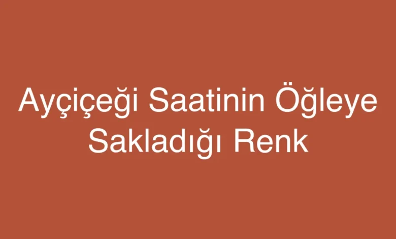 Ayçiçeği Saatinin Öğleye Sakladığı Renk