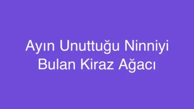 Ayın Unuttuğu Ninniyi Bulan Kiraz Ağacı