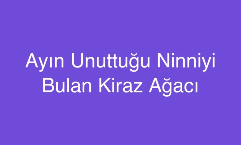 Ayın Unuttuğu Ninniyi Bulan Kiraz Ağacı