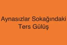 Aynasızlar Sokağındaki Ters Gülüş