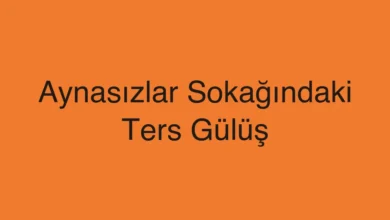 Aynasızlar Sokağındaki Ters Gülüş