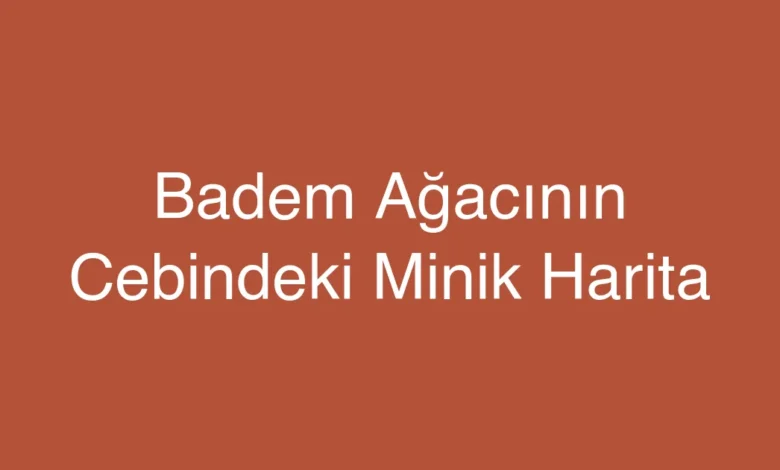 Badem Ağacının Cebindeki Minik Harita