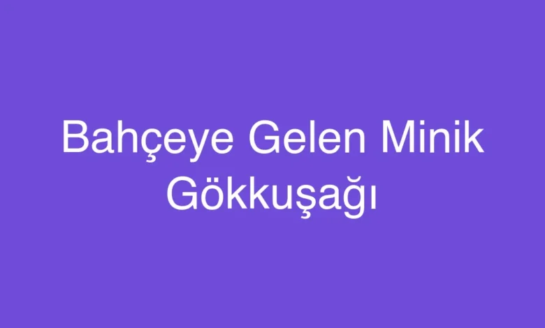 Bahçeye Gelen Minik Gökkuşağı