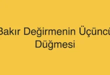 Bakır Değirmenin Üçüncü Düğmesi