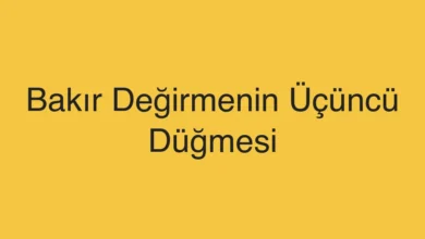 Bakır Değirmenin Üçüncü Düğmesi