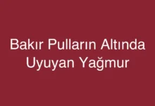 Bakır Pulların Altında Uyuyan Yağmur