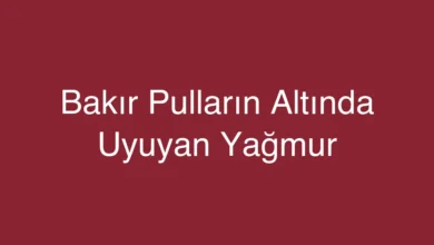 Bakır Pulların Altında Uyuyan Yağmur