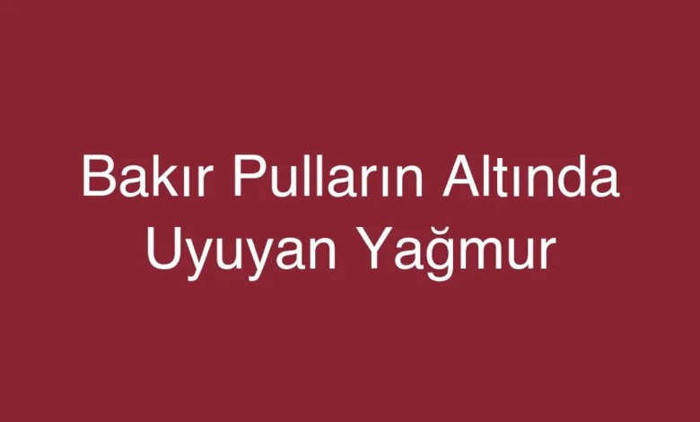 Bakır Pulların Altında Uyuyan Yağmur
