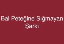 Bal Peteğine Sığmayan Şarkı