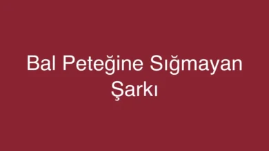 Bal Peteğine Sığmayan Şarkı
