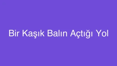 Bir Kaşık Balın Açtığı Yol