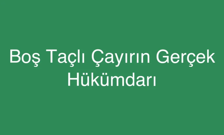 Boş Taçlı Çayırın Gerçek Hükümdarı