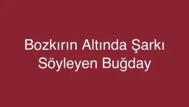 Bozkırın Altında Şarkı Söyleyen Buğday